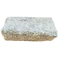 Buding Musgo Sphagnum para terrario y orquídeas- musgo Sphagnum- musgo sphagnum- 6 l- musgo seco- agua- sustratos de…